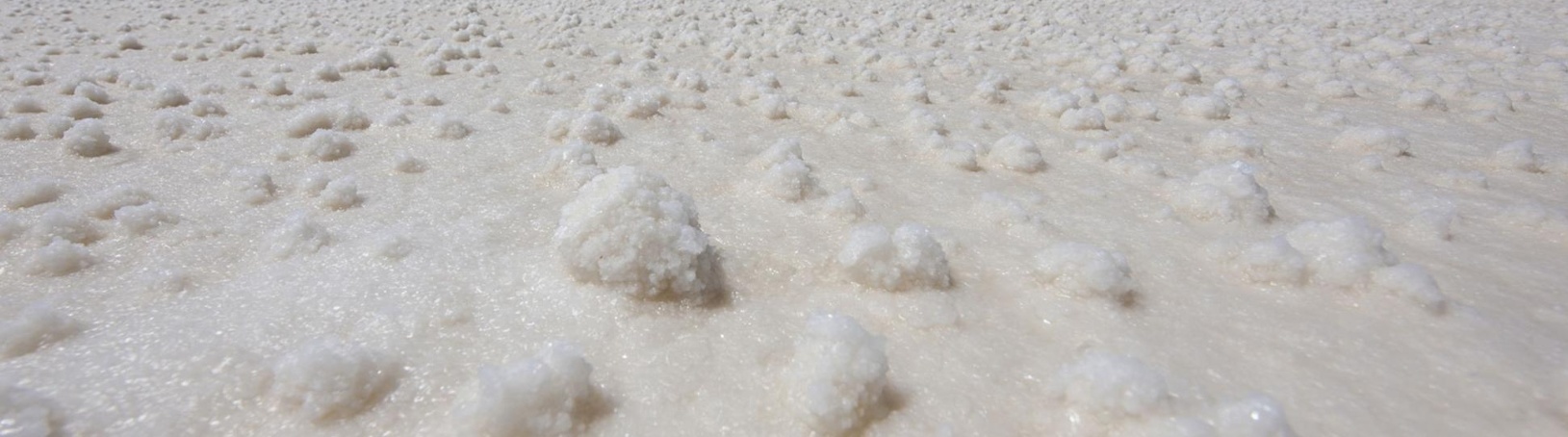 PA电子离心萃取机：锂提取的高效解决方案