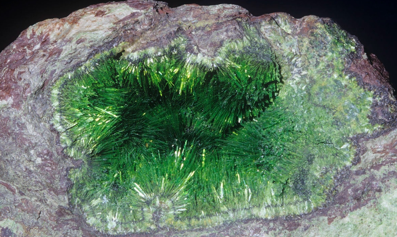 PA电子离心萃取机：铀提取的高效技术支持